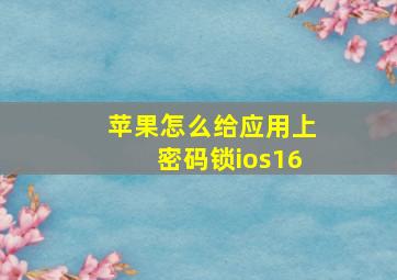 苹果怎么给应用上密码锁ios16