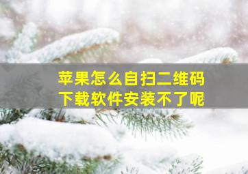 苹果怎么自扫二维码下载软件安装不了呢