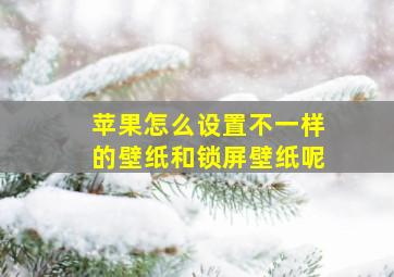 苹果怎么设置不一样的壁纸和锁屏壁纸呢