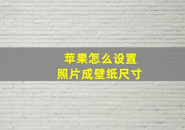 苹果怎么设置照片成壁纸尺寸