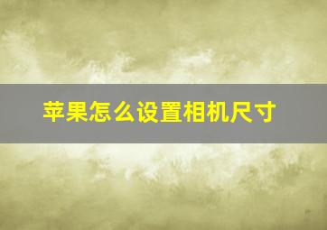 苹果怎么设置相机尺寸