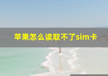 苹果怎么读取不了sim卡