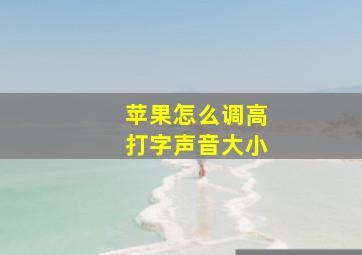 苹果怎么调高打字声音大小