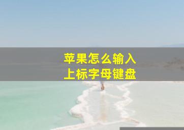 苹果怎么输入上标字母键盘