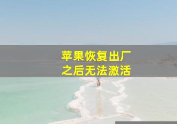 苹果恢复出厂之后无法激活