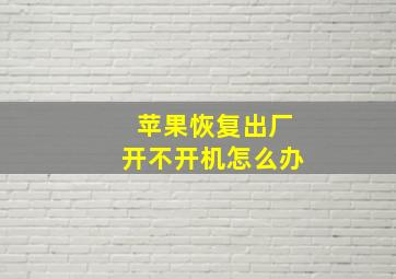 苹果恢复出厂开不开机怎么办