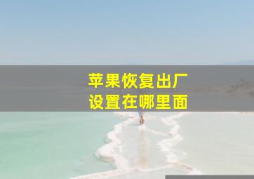 苹果恢复出厂设置在哪里面