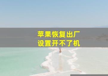 苹果恢复出厂设置开不了机