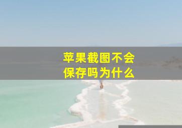 苹果截图不会保存吗为什么