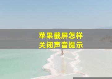 苹果截屏怎样关闭声音提示