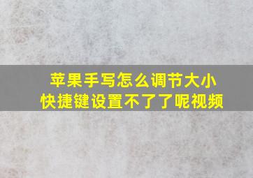 苹果手写怎么调节大小快捷键设置不了了呢视频