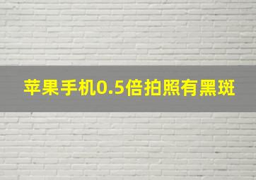 苹果手机0.5倍拍照有黑斑