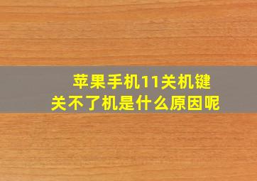 苹果手机11关机键关不了机是什么原因呢