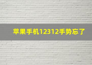 苹果手机12312手势忘了