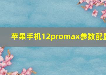 苹果手机12promax参数配置