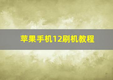 苹果手机12刷机教程