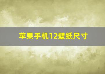 苹果手机12壁纸尺寸