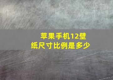 苹果手机12壁纸尺寸比例是多少