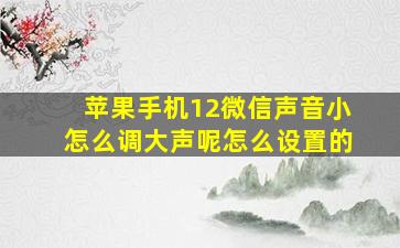 苹果手机12微信声音小怎么调大声呢怎么设置的