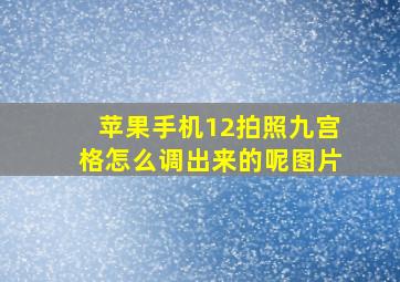 苹果手机12拍照九宫格怎么调出来的呢图片