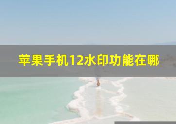 苹果手机12水印功能在哪