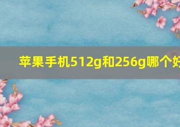 苹果手机512g和256g哪个好