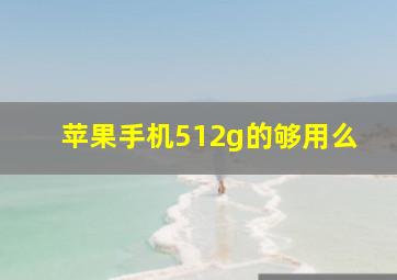 苹果手机512g的够用么