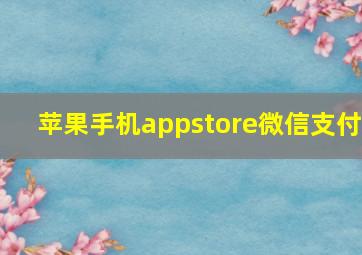 苹果手机appstore微信支付