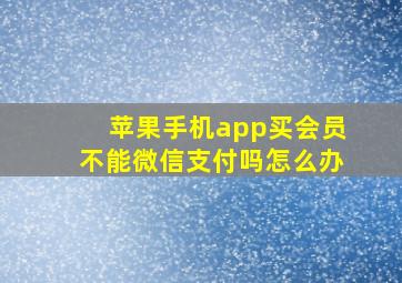 苹果手机app买会员不能微信支付吗怎么办