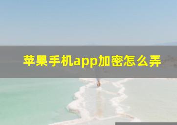 苹果手机app加密怎么弄