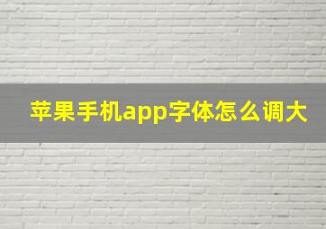 苹果手机app字体怎么调大