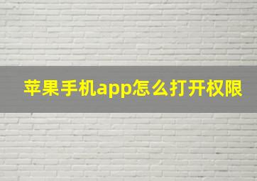 苹果手机app怎么打开权限