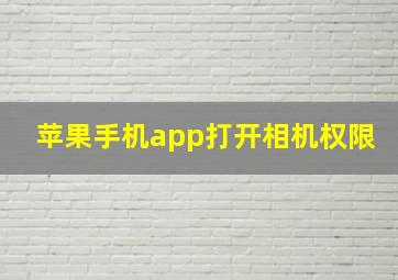 苹果手机app打开相机权限