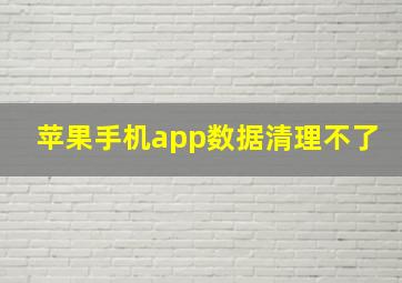 苹果手机app数据清理不了