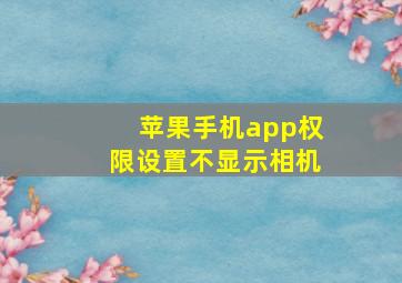 苹果手机app权限设置不显示相机