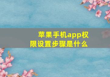 苹果手机app权限设置步骤是什么