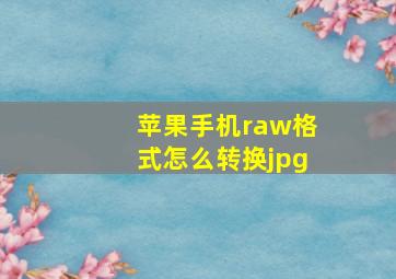 苹果手机raw格式怎么转换jpg