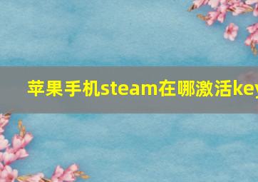 苹果手机steam在哪激活key