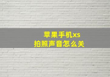 苹果手机xs拍照声音怎么关