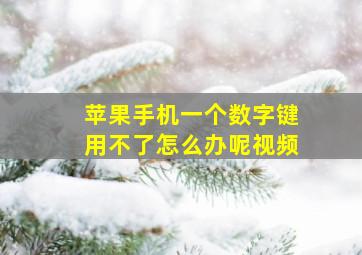 苹果手机一个数字键用不了怎么办呢视频