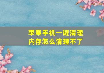 苹果手机一键清理内存怎么清理不了