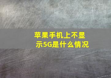 苹果手机上不显示5G是什么情况