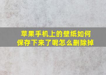 苹果手机上的壁纸如何保存下来了呢怎么删除掉