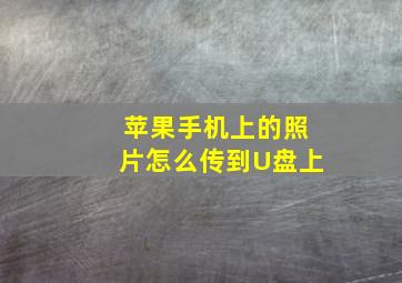 苹果手机上的照片怎么传到U盘上