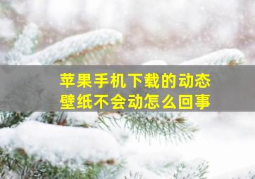 苹果手机下载的动态壁纸不会动怎么回事