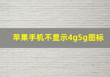 苹果手机不显示4g5g图标