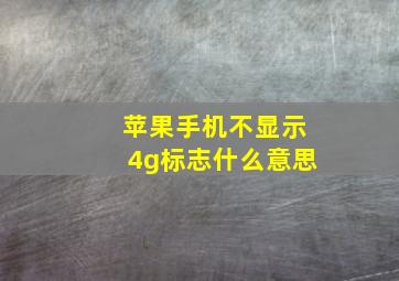 苹果手机不显示4g标志什么意思