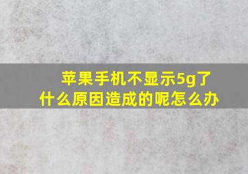 苹果手机不显示5g了什么原因造成的呢怎么办