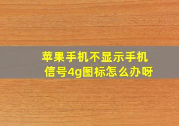 苹果手机不显示手机信号4g图标怎么办呀