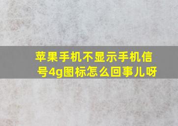 苹果手机不显示手机信号4g图标怎么回事儿呀